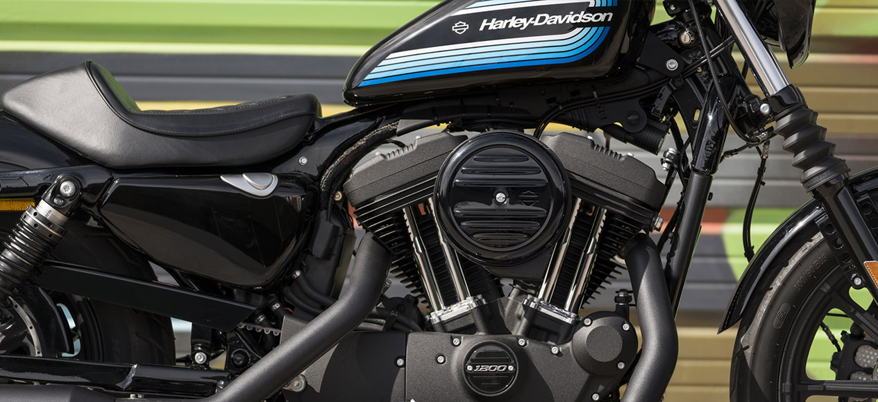 Harley Davidson 1200 Iron Engine